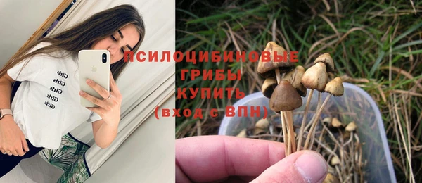 таблы Алексин